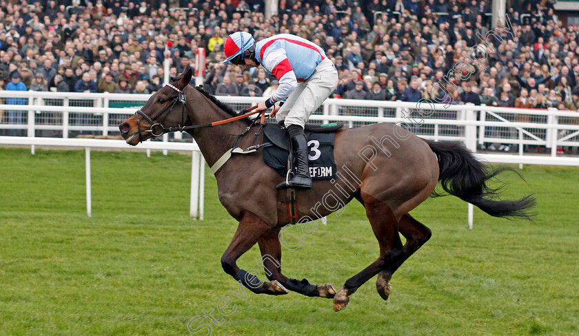 Simply-The-Betts-0005 
 SIMPLY THE BETTS (Gavin Sheehan) wins The Timeform Novices Handicap Chase
Cheltenham 25 Jan 2020 - Pic Steven Cargill / Racingfotos.com