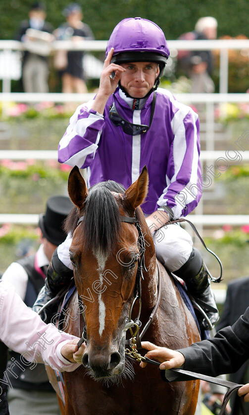 Japan-0006 
 JAPAN (Ryan Moore) after The King Edward VII Stakes
Royal Ascot 21 Jun 2019 - Pic Steven Cargill / Racingfotos.com