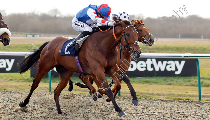 Sha-La-La-La-Lee-0003 
 SHA LA LA LA LEE (Richard Kingscote) wins The Sun Racing No1 Racing Site Handicap
Lingfield 2 Mar 2019 - Pic Steven Cargill / Racingfotos.com