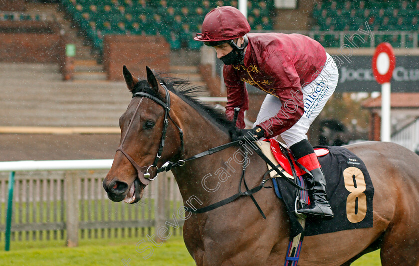 Mused-0001 
 MUSED (Cieren Fallon)
Newmarket 31 Oct 2020 - Pic Steven Cargill / Racingfotos.com