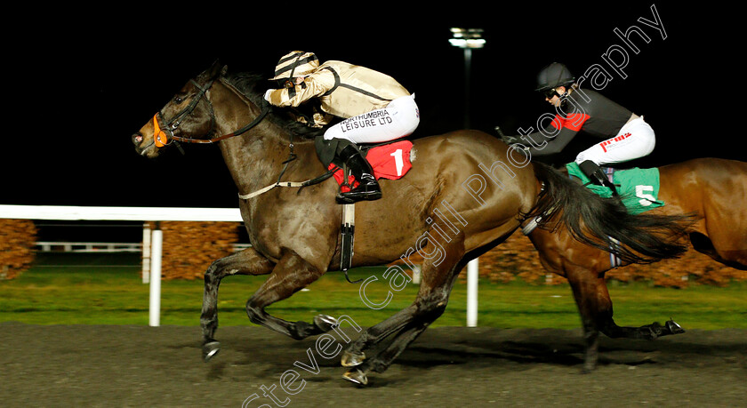 Doc-Sportello-0003 
 DOC SPORTELLO (Robert Winston) wins The 32Red.com Handicap
Kempton 16 Jan 2019 - Pic Steven Cargill / Racingfotos.com