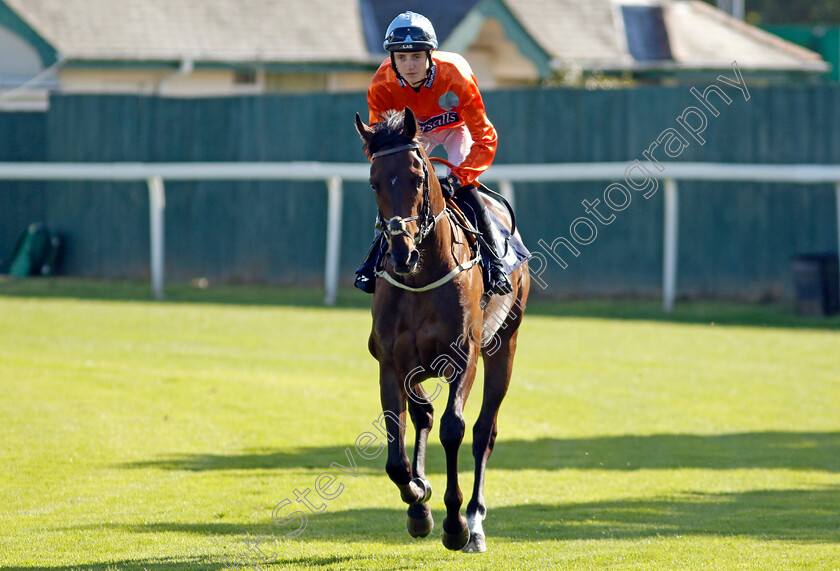 Manton-Road-0002 
 MANTON ROAD (Jonny Peate)
Yarmouth 17 Sep 2024 - Pic Steven Cargill / Racingfotos.com