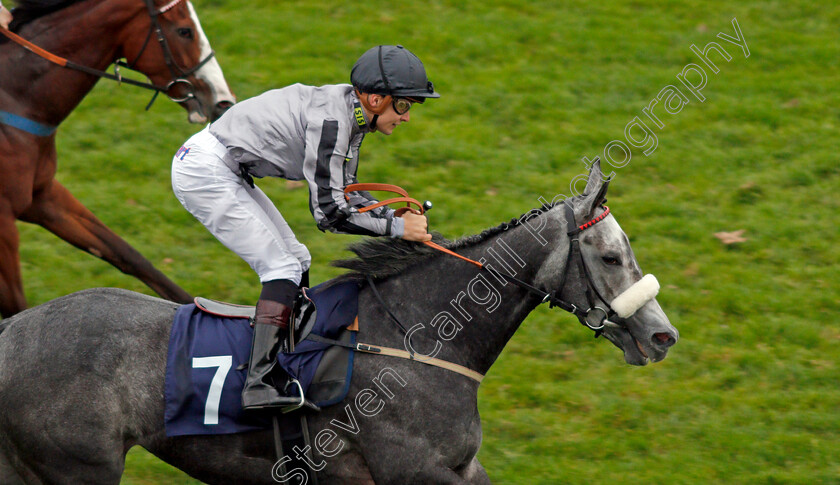 Our-Greta-0004 
 OUR GRETA (Ryan Tate) wins The Grosvenor Casino Of Great Yarmouth Handicap Yarmouth 24 Oct 2017 - Pic Steven Cargill / Racingfotos.com