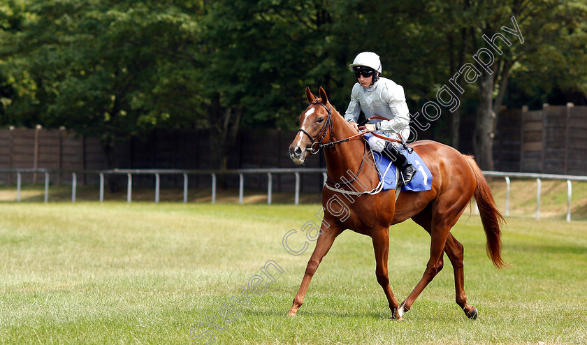 Octave-0001 
 OCTAVE (P J McDonald) before winning The Dianne Nursery
Pontefract 10 Jul 2018 - Pic Steven Cargill / Racingfotos.com