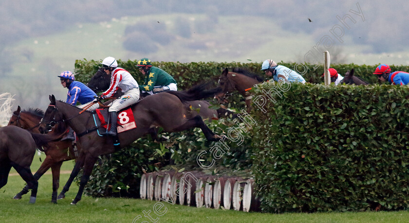 Latenightpass-0001 
 LATENIGHTPASS (Gina Andrews)
Cheltenham 13 Dec 2024 - Pic Steven Cargill / Racingfotos.com