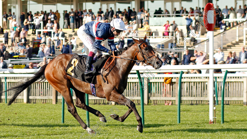 Carolus-Magnus-0004 
 CAROLUS MAGNUS (Oisin Murphy) wins The Come And Discover Newmarket Handicap
Newmarket 23 Sep 2021 - Pic Steven Cargill / Racingfotos.com