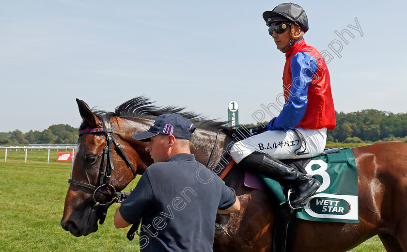 Sorceress-0005 
 SORCERESS (Bauyrzhan Murzabayev) winner of The Gestut Etzean Winterkonigin Trial 
Baden-Baden 31 Aug 2024 - Pic Steven Cargill / Racingfotos.com