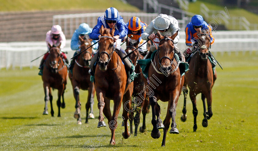 Dubai-Fountain-0007 
 DUBAI FOUNTAIN (right, Franny Norton) beats ZEYAADAH (left) in The Weatherbys ePassport Cheshire Oaks
Chester 5 May 2021 - Pic Steven Cargill / Racingfotos.com