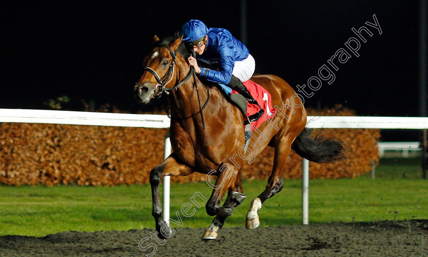 Boccaccio-0003 
 BOCCACCIO (James Doyle) wins The 100% Profit Boost At 32redsport.com Novice Stakes
Kempton 27 Nov 2019 - Pic Steven Cargill / Racingfotos.com