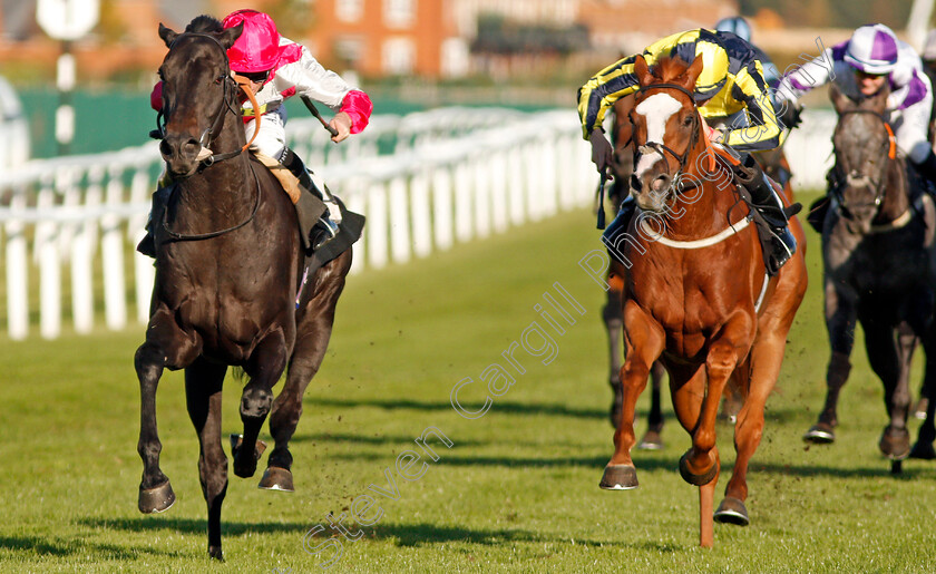 Entrusting-0003 
 ENTRUSTING (left, Ryan Moore) beats POUR ME A DRINK (right) in The T T Tents Handicap
Newbury 20 Sep 2019 - Pic Steven Cargill / Racingfotos.com