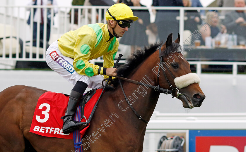 End-Of-Story-0001 
 END OF STORY (Kevin Stott)
Epsom 31 May 2024 - Pic Steven Cargill / Racingfotos.com