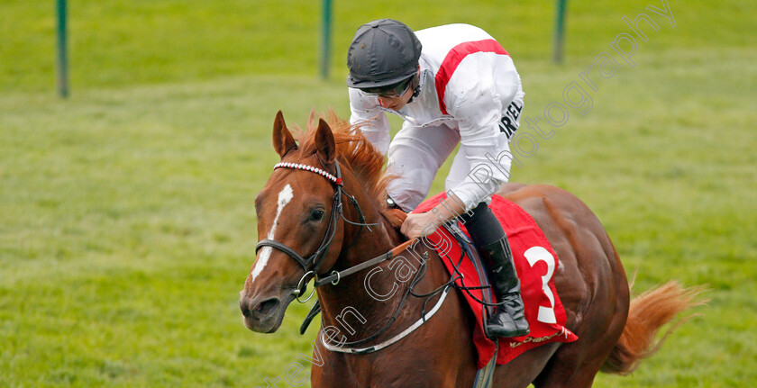 Convict-0008 
 CONVICT (Tom Marquand) wins The Matchbook EBF Future Stayers Nursery 
Newmarket 23 Oct 2019 - Pic Steven Cargill / Racingfotos.com