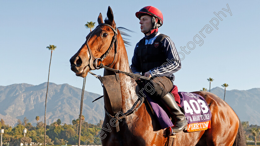 Fleeting-0002 
 FLEETING training for The Breeders' Cup Filly & Mare Turf
Santa Anita USA 31 Oct 2019 - Pic Steven Cargill / Racingfotos.com