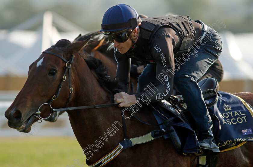 Coolangatta-0013 
 COOLANGATTA (James McDonald) preparing for Royal Ascot
Ascot 14 Jun 2023 - Pic Steven Cargill / Racingfotos.com