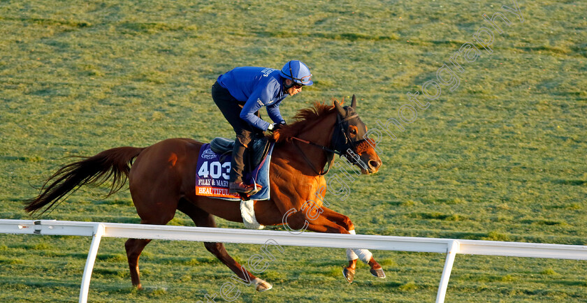 Beautiful-Love-0001 
 BEAUTIFUL LOVE training for the Breeders' Cup Filly & Mare Turf
Del Mar USA 30 Oct 2024 - Pic Steven Cargill / Racingfotos.com