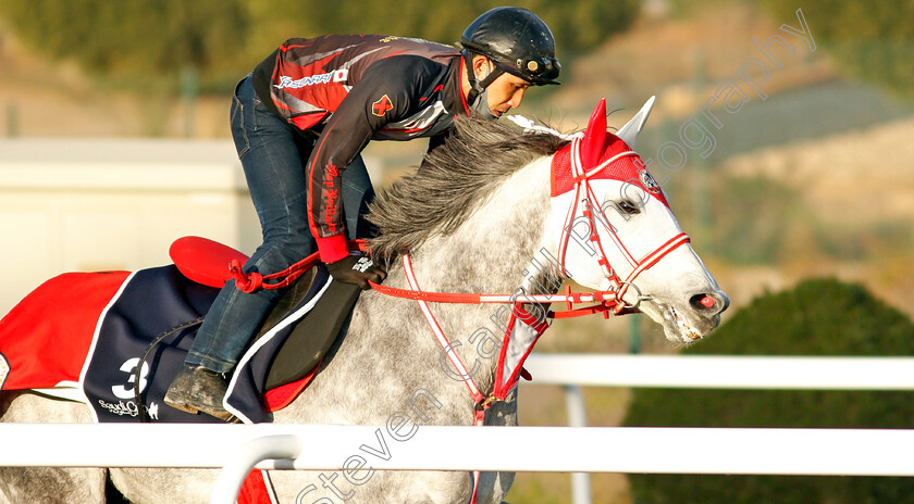 Entscheiden-0004 
 ENTSCHEIDEN training for The Turf Sprint
King Abdulaziz Racetrack, Riyadh, Saudi Arabia 22 Feb 2022 - Pic Steven Cargill / Racingfotos.com