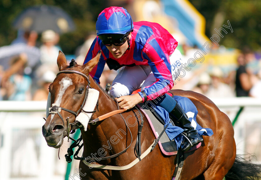 Sly-Madam-0006 
 SLY MADAM (William Carver) wins The M J Church Handicap
Salisbury 11 Aug 2022 - Pic Steven Cargill / Racingfotos.com