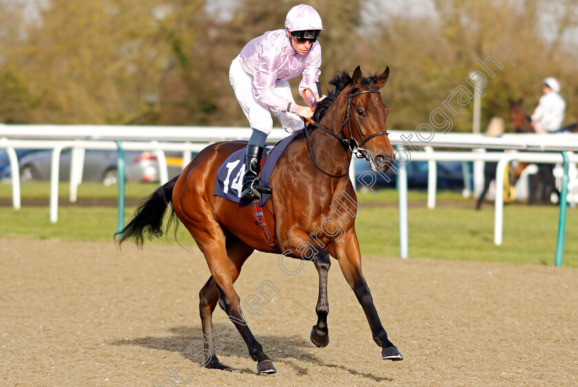 Zenaida-0001 
 ZENAIDA (Kieran Shoemark)
Lingfield 18 Dec 2019 - Pic Steven Cargill / Racingfotos.com