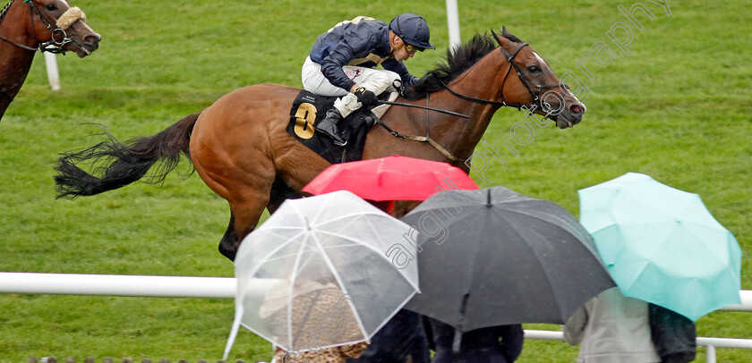 Good-Earth-0004 
 GOOD EARTH (Kevin Stott) wins The cavani.co.uk The Sartorial Sprint Handicap
Newmarket 14 Jul 2023 - Pic Steven Cargill / Racingfotos.com