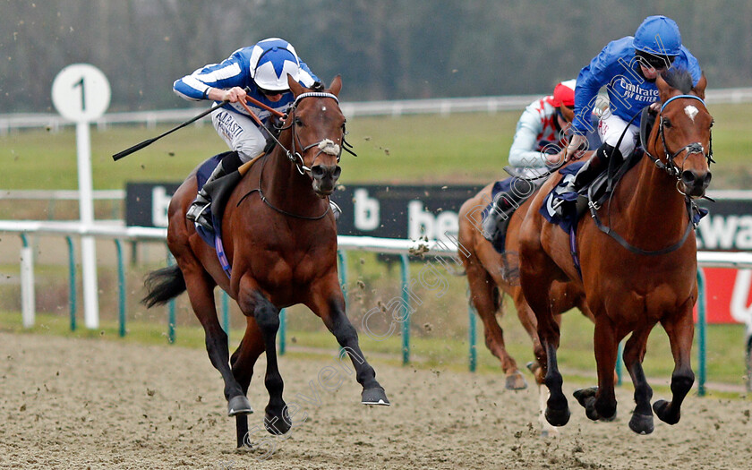 Bangkok-0005 
 BANGKOK (left, Ryan Moore) beats FOREST OF DEAN (right) in The Betway Winter Derby Trial Stakes
Lingfield 6 Feb 2021 - Pic Steven Cargill / Racingfotos.com