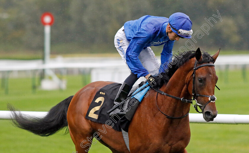 Marching-Thunder-0002 
 MARCHING THUNDER (Harry Davies)
Nottingham 11 Oct 2023 - Pic Steven Cargill / Racingfotos.com