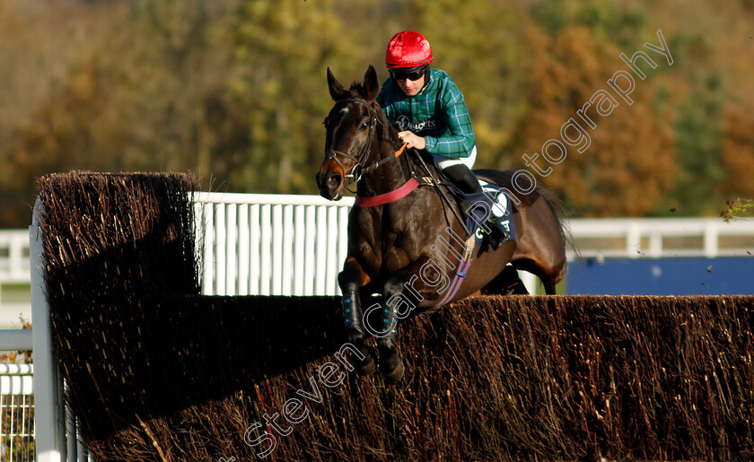 Bucksy-Des-Epeires-0002 
 BUCKSY DES EPEIRES (Charlie Deutsch) wins The Copybet Novices Limited Handicap Chase
Ascot 22 Nov 2024 - Pic Steven Cargill / Racingfotos.com