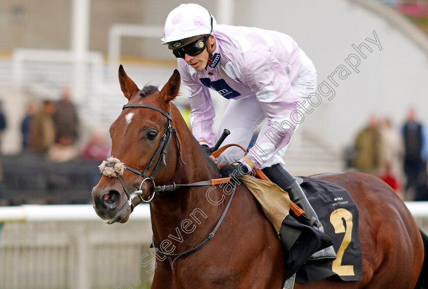 Anzac-Day-0007 
 ANZAC DAY (James Doyle) winner of The Visit racingtv.com Maiden Stakes
Newmarket 25 Oct 2023 - Pic Steven Cargill / Racingfotos.com