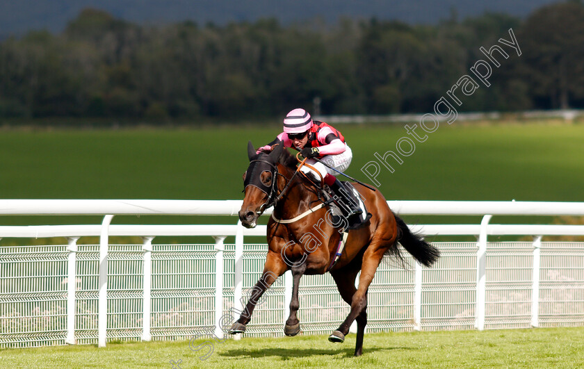 Aggagio-0003 
 AGGAGIO (Oisin Murphy) wins The tote.co.uk Selling Stakes
Goodwood 29 Aug 2021 - Pic Steven Cargill / Racingfotos.com