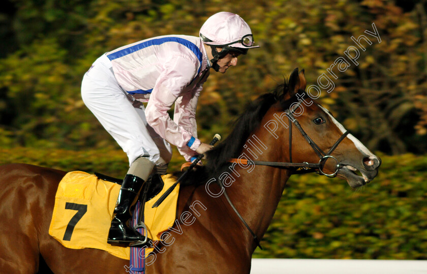 Global-Excel-0001 
 GLOBAL EXCEL (Liam Keniry) Kempton 4 Oct 2017 - Pic Steven Cargill / Racingfotos.com