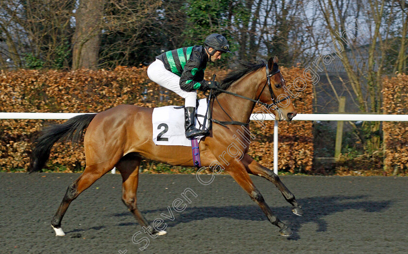 Banbrook-Bo-0002y 
 BANBROOK BOY (Dayverson De Barros)
Kempton 16 Feb 2022 - Pic Steven Cargill / Racingfotos.com