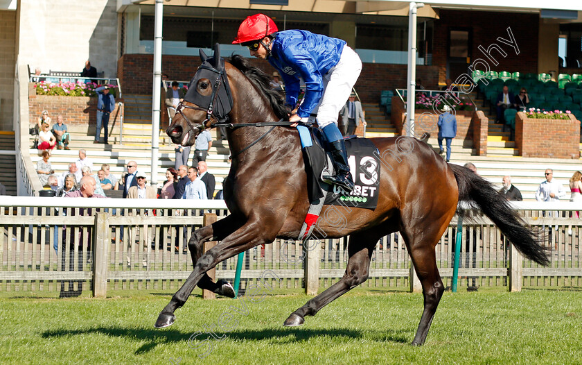 Wedding-Dance-0001 
 WEDDING DANCE (William Buick)
Newmarket 24 Sep 2021 - Pic Steven Cargill / Racingfotos.com