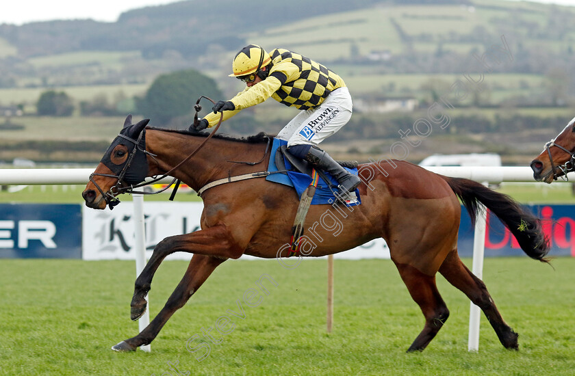 Salvator-Mundi-0006 
 SALVATOR MUNDI (Paul Townend) wins the Sky Bet Moscow Flyer Novice Hurdle
Punchestown 12 Jan 2025 - Pic Steven Cargill / Racingfotos.com