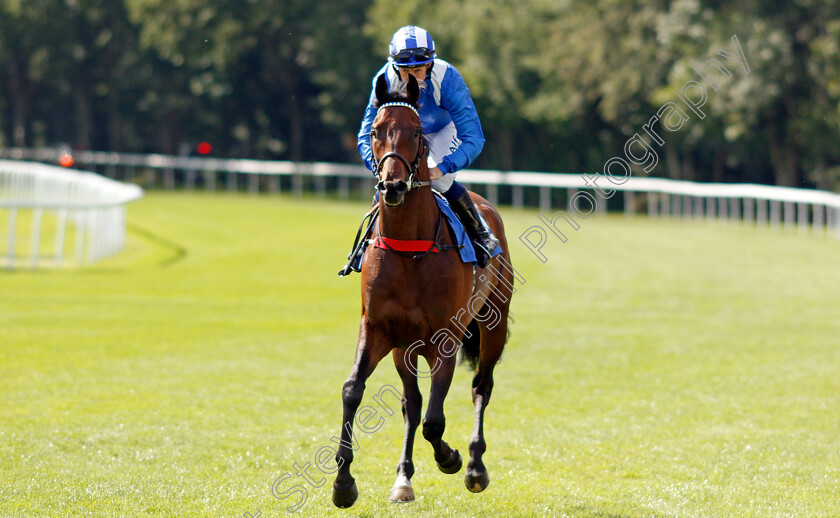 Tasfeeq-0001 
 TASFEEQ (Jim Crowley)
Salisbury 11 Aug 2021 - Pic Steven Cargill / Racingfotos.com