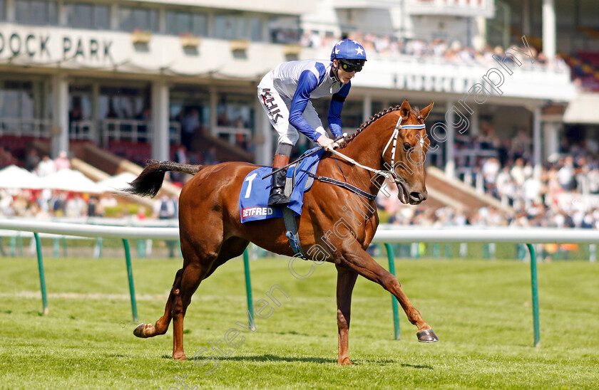 Catch-Twentytwo 
 CATCH TWENTYTWO (David Egan)
Haydock 28 May 2022 - Pic Steven Cargill / Racingfotos.com