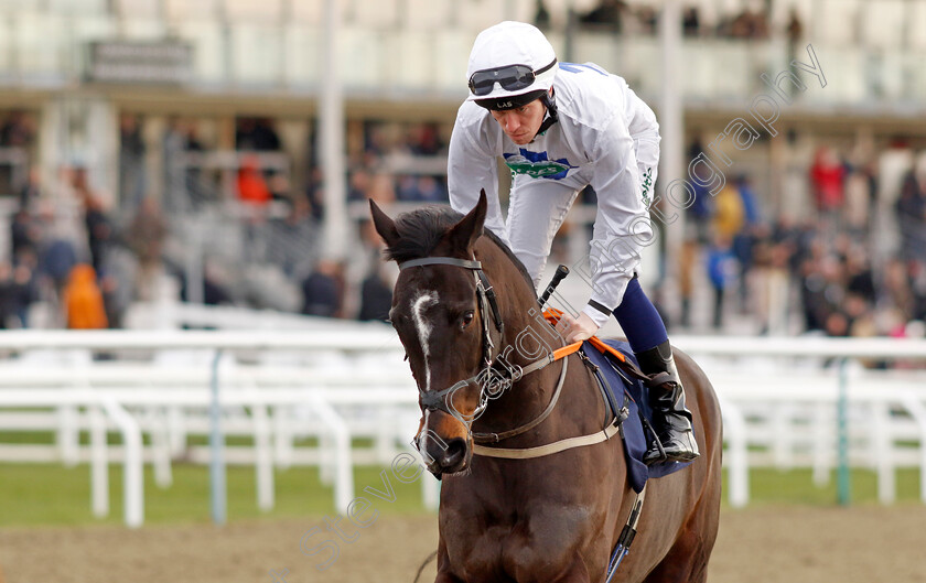 Epsom-Faithfull-0006 
 EPSOM FAITHFULL (Paddy Bradley) winner of The Best Racing Odds Guaranteed At Betmgm Handicap
Lingfield 20 Jan 2024 - Pic Steven Cargill / Racingfotos.com