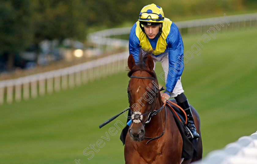 Oliver-Show-0002 
 OLIVER SHOW (Richard Kingscote)
Newmarket 28 Jul 2023 - Pic Steven Cargill / Racingfotos.com