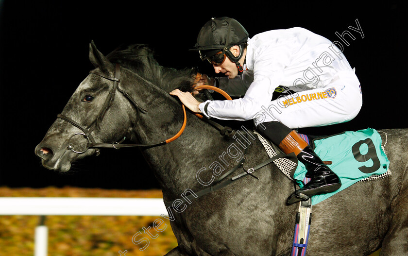 Lush-Life-0007 
 LUSH LIFE (Dougie Costello) wins The British Stallion Studs EBF Fillies Novice Stakes Kempton 8 Nov 2017 - Pic Steven Cargill / Racingfotos.com