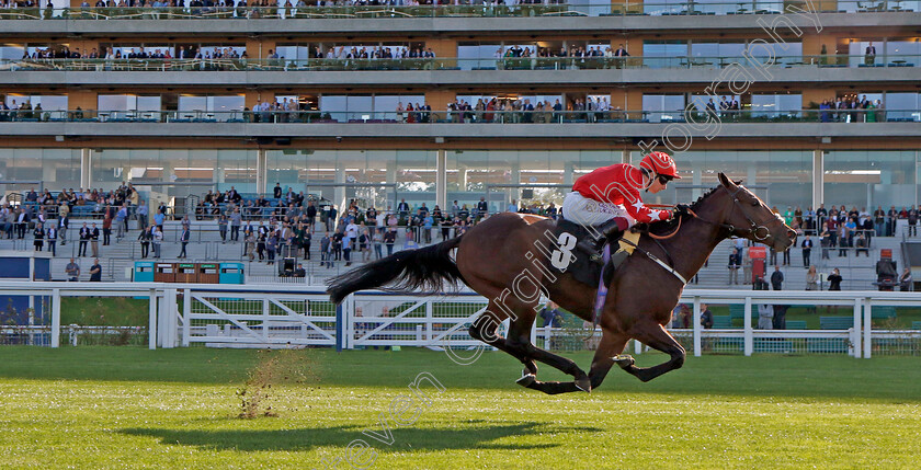 Hampden-Park-0001 
 HAMPDEN PARK (Oisin Murphy) wins The Heros Novice Stakes
Ascot 6 Oct 2023 - Pic Steven Cargill / Racingfotos.com