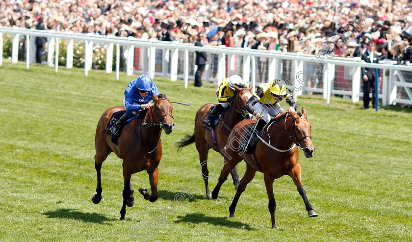 Main-Edition-0003 
 MAIN EDITION (right, James Doyle) beats LA PELOSA (left) in The Albany Stakes
Royal Ascot 22 Jun 2018 - Pic Steven Cargill / Racingfotos.com