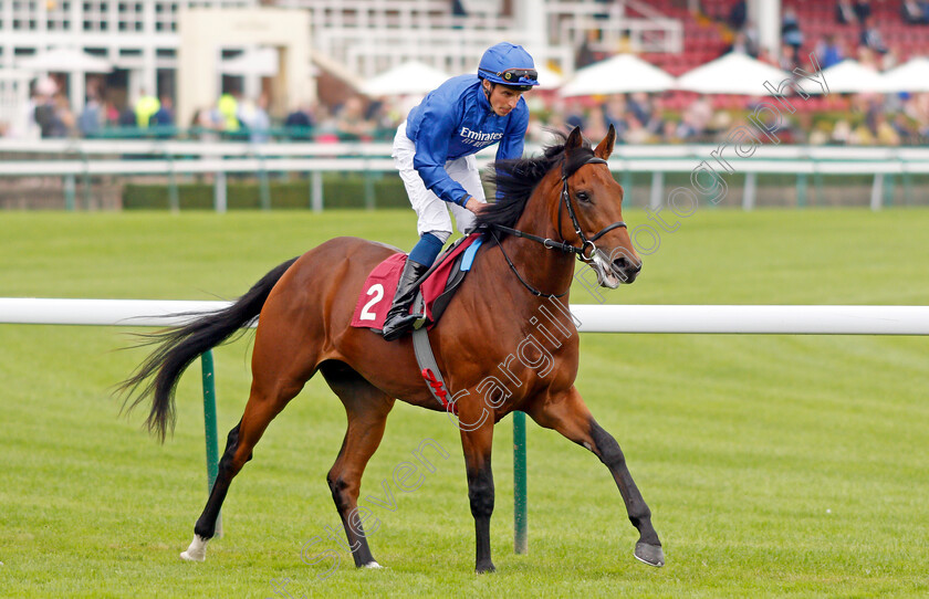 Hafit-0002 
 HAFIT (William Buick)
Haydock 4 Sep 2021 - Pic Steven Cargill / Racingfotos.com