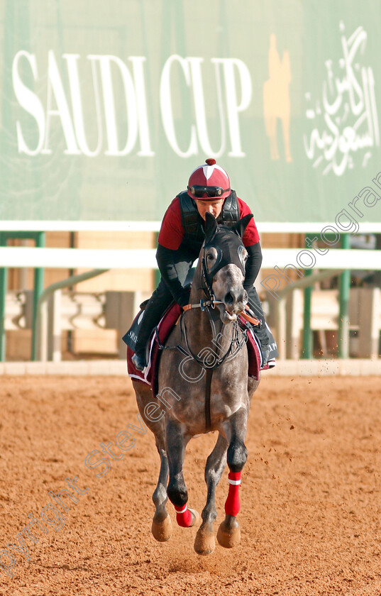 Lake-Causeway-0002 
 LAKE CAUSEWAY preparing for The Saudi Derby
Riyadh Racetrack, Kingdom Of Saudi Arabia, 27 Feb 2020 - Pic Steven Cargill / Racingfotos.com