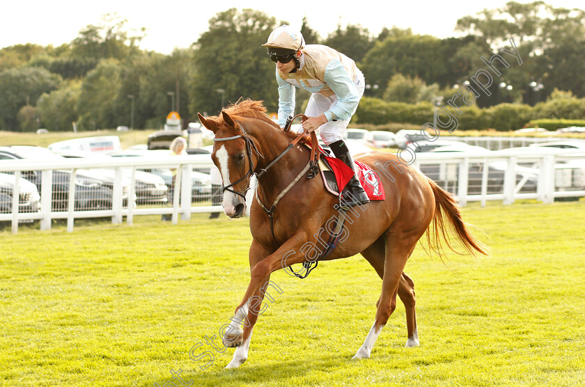 Mrs-Dukesbury-0001 
 MRS DUKESBURY (Luke Morris)
Epsom 4 Jul 2019 - Pic Steven Cargill / Racingfotos.com