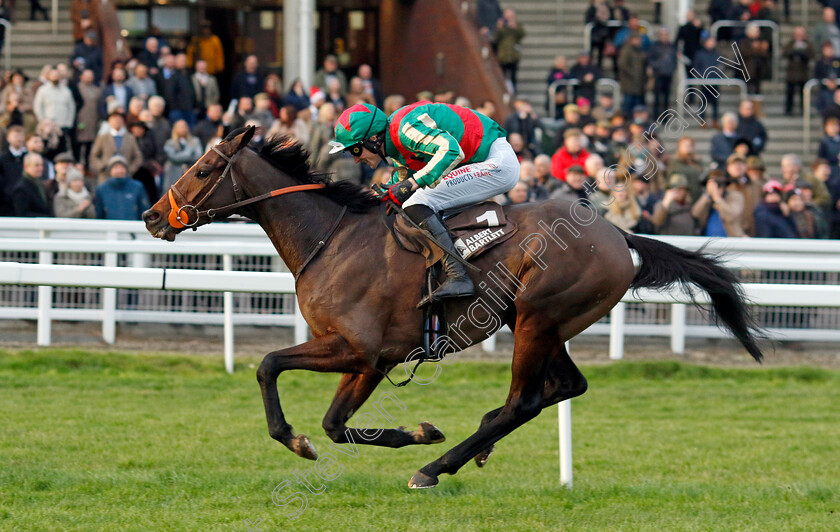 Jet-Blue-0002 
 JET BLUE (James Reveley) wins The Albert Bartlett Novices Hurdle
Cheltenham 14 Dec 2024 - Pic Steven Cargill / Racingfotos.com