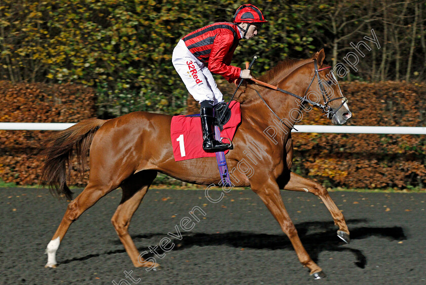 Stormy-Antarctic-0001 
 STORMY ANTARCTIC (Jamie Spencer) Kempton 22 Nov 2017 - Pic Steven Cargill / Racingfotos.com