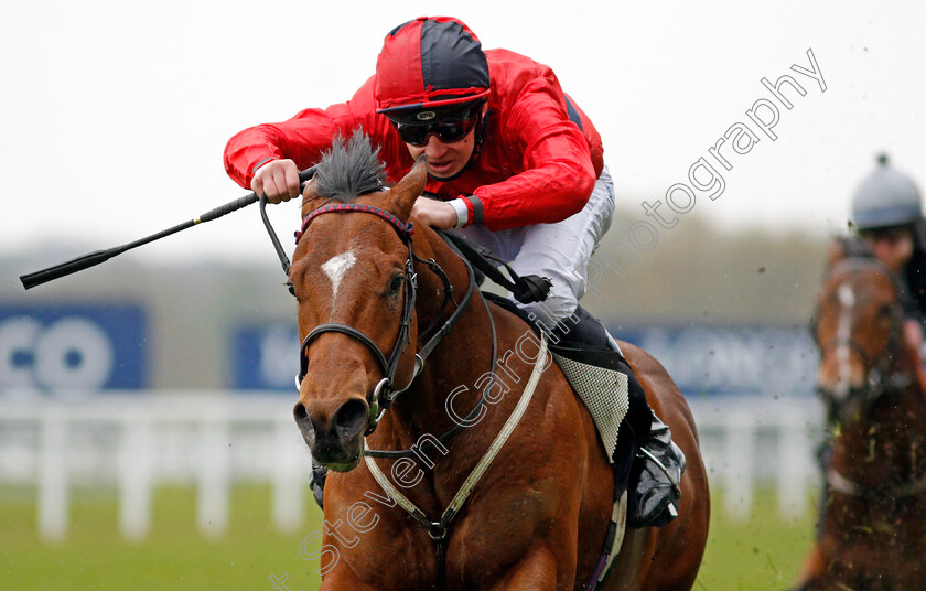 Chipotle-0005 
 CHIPOTLE (Charles Bishop) wins The Royal Ascot Two-Year-Old Trial Conditions Stakes
Ascot 28 Apr 2021 - Pic Steven Cargill / Racingfotos.com