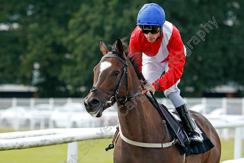 Catechism-0001 
 CATECHISM (Kieran Shoemark)
Newbury 6 Aug 2019 - Pic Steven Cargill / Racingfotos.com