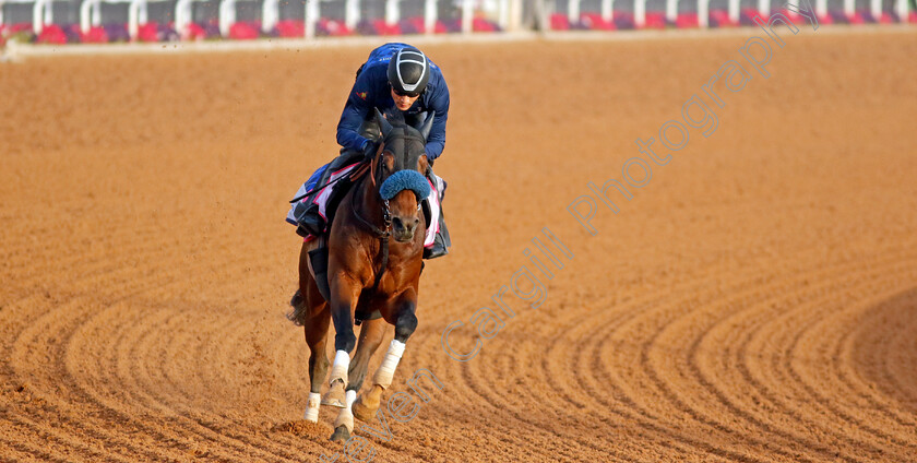 Dancing-Prince-0001 
 DANCING PRINCE training for The Riyadh Dirt Sprint
King Abdulaziz Racecourse, Kingdom of Saudi Arabia, 22 Feb 2023 - Pic Steven Cargill / Racingfotos.com