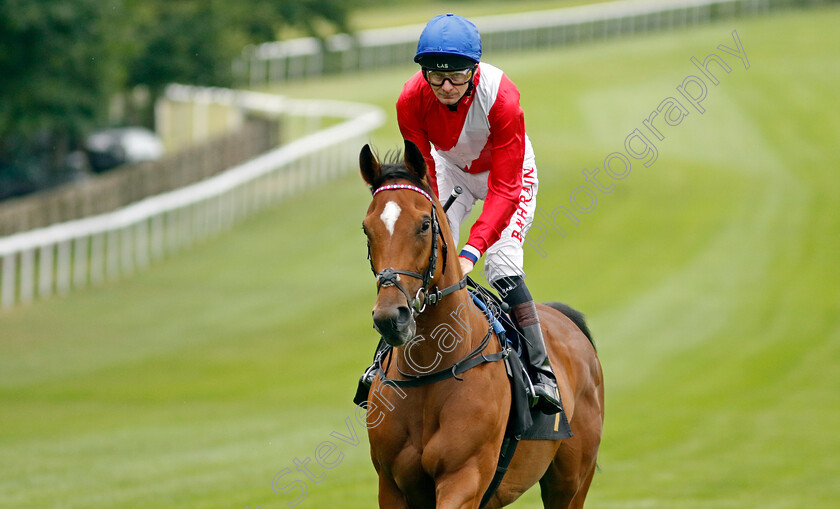 Full-Regalia-0001 
 FULL REGALIA (Robert Havlin)
Newmarket 30 Jun 2023 - Pic Steven Cargill / Racingfotos.com