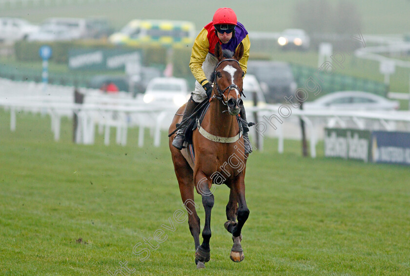 Harry-Senior-0005 
 HARRY SENIOR (Robbie Power) wins The Ballymore Novices Hurdle
Cheltenham 25 Jan 2020 - Pic Steven Cargill / Racingfotos.com