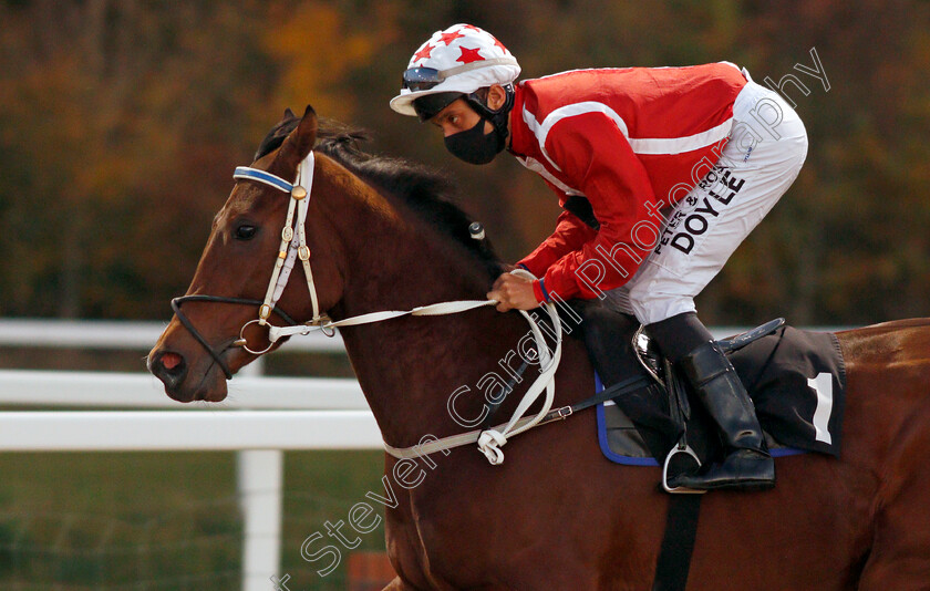 Rest-My-Case-0001 
 REST MY CASE (Sean Levey)
Chelmsford 22 Oct 2020 - Pic Steven Cargill / Racingfotos.com